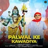 About Palwal Ke Kawadiya Song