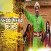 About Shaki Mera Dhola Song