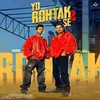 About Yo Rohtak Se 2 Song