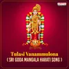 About Sri Godha Mangala Harati Song