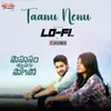About Taanu Nenu Lofi Mix Song