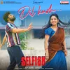 About Dil Kush Song