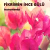 About Fikrimin İnce Gülü Instrumental Song