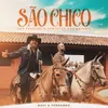 About São Chico São Francisco Protetor Dos Animais Song