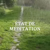 Etat De Meditation