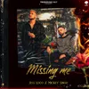 About Missing Me Song