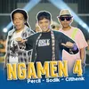 About NGAMEN 4 Song