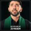 About Zeynebem Song
