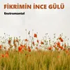 About Fikrimin İnce Gülü Enstrumantal Song