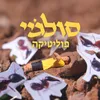 About פוליטיקה Song