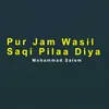 About Pur Jam Wasil Saqi Pilaa Diya Song