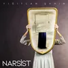 About Narsist Song