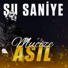 About Şu Saniye Song