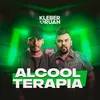 About Alcoolterapia Song