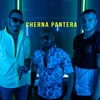 About Cherna Pantera Song