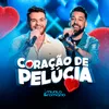 About Coração de Pelúcia Song