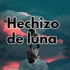 About Hechizo de luna Song