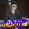 About Kembange Turu Song