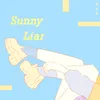 About Sunny Liar Song