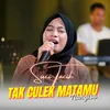 About Tak Culek Matamu Nangiso Song