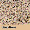 Sleep Noise, Pt. 18