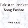 About Pakistan Cricket Song Pashto Song