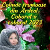 Colinde Frumoase Din Ardeal Coborat-A Coborat 2023