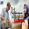 About Pertunangan Membawa Luka Song