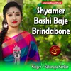 Shyamer Bashi Baje Brindabone