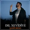 About Dil Xeyîdîme Song