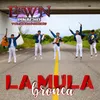 About La Mula Bronca Song