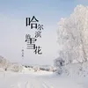 About 哈尔滨的雪花 伴奏 Song