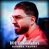 About 101 Trandafiri Song