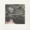 About Blossoming Song