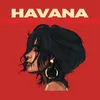 About Havana Song