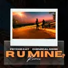 About R U Mine? Remix Song