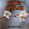 Avşar Güzeli