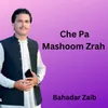 About Che Pa Mashoom Zrah Song