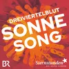 About Sonne song Song