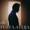 About Pusta Avlija Song