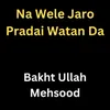 About Na Wele Jaro Pradai Watan Da Song