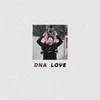 About DNA LOVE Song