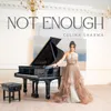 About Not Enough Song