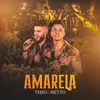 About Amarela Ao Vivo Song