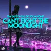 About Can´t Fight The Moonlight Song