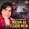 About Matam Aa Fizaon Mein Song