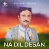 About Na Dil Desan Song