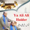 About Ya Ali Ali Haider Song