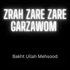 About Zrah Zare Zare Garzawom Song