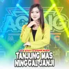 About Tanjung Mas Ninggal Janji Song